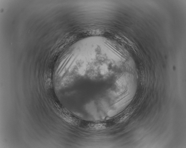 X0000068840553200605261643