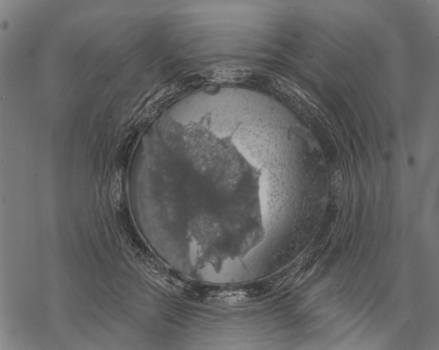 X0000068840554200605261643