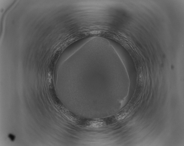 X0000068840555200605261643