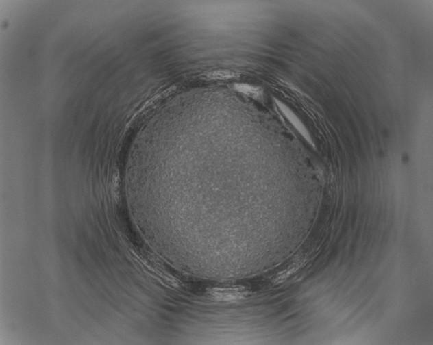 X0000068840556200605261643