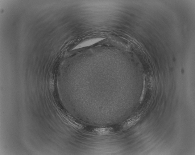 X0000068840558200605261643