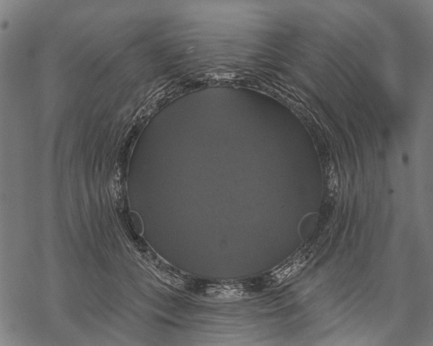 X0000068840559200605261643