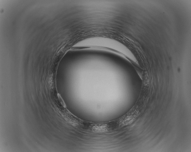 X0000068840560200605261643