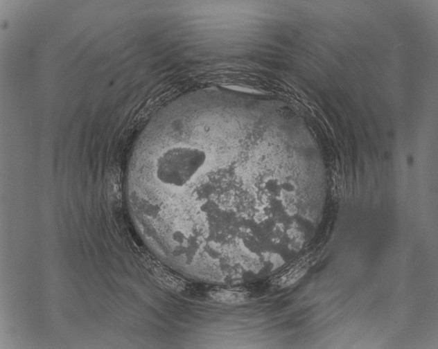 X0000068840561200605261643