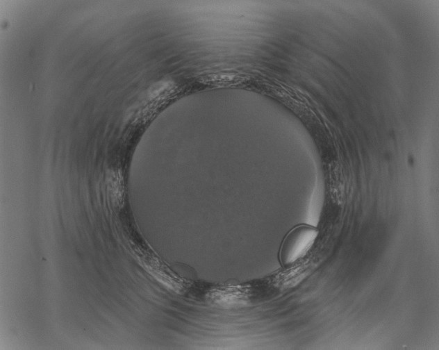 X0000068840563200605261643