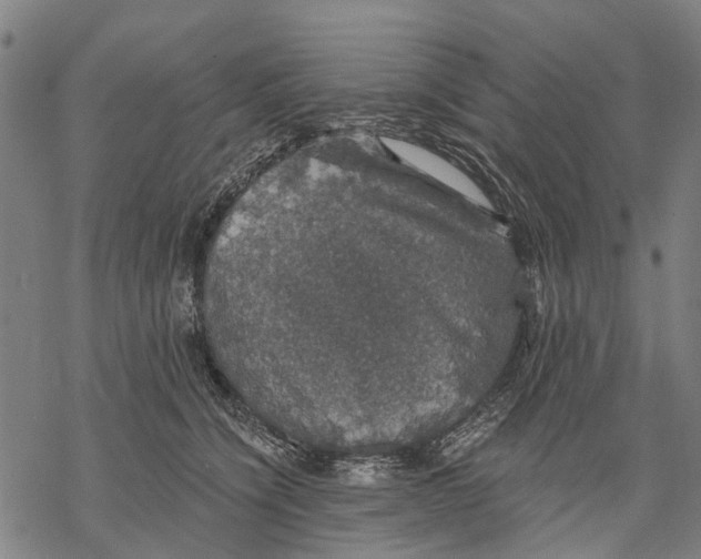 X0000068840564200605261643