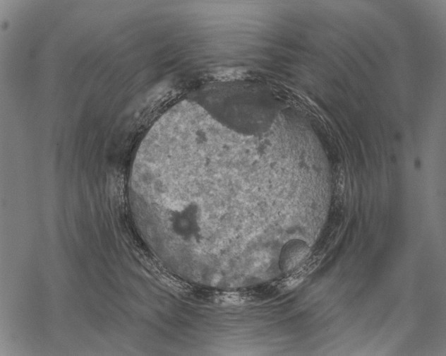 X0000068840565200605261643