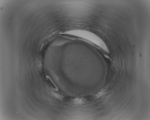 X0000068840566200605261643