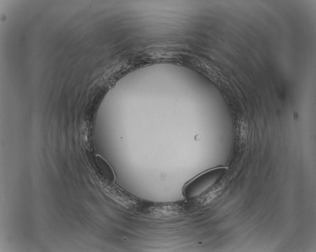 X0000068840567200605261643