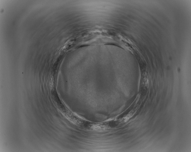 X0000068840568200605261643