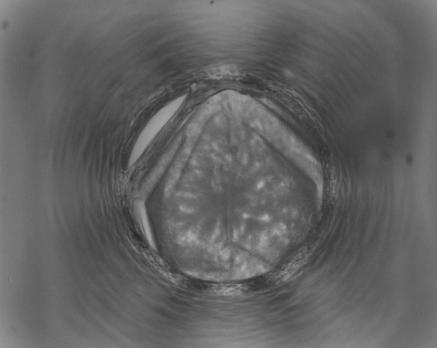 X0000068840569200605261643