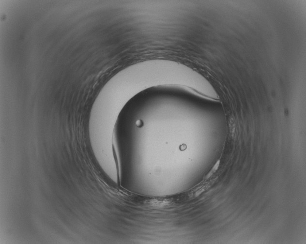 X0000068840570200605261643