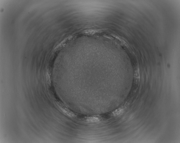 X0000068840572200605261643