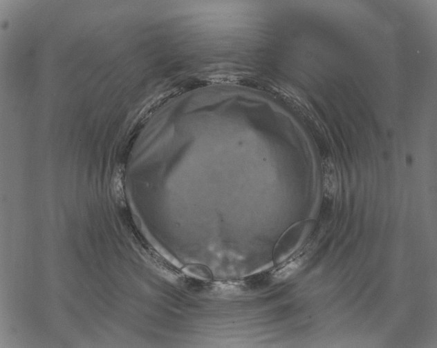 X0000068840573200605261643