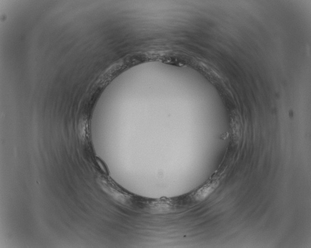 X0000068840574200605261643