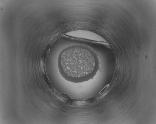 X0000068840575200605261643