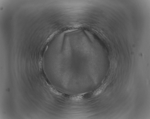 X0000068840576200605261643