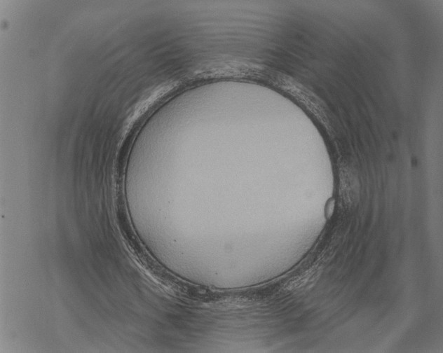 X0000068840578200605261643