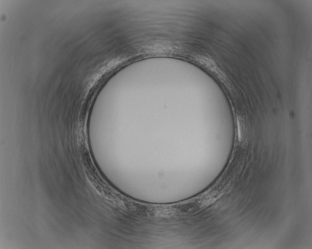 X0000068840579200605261643