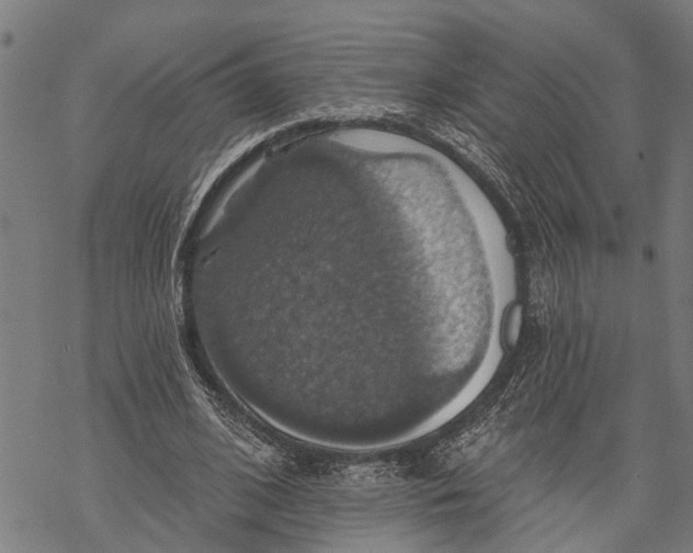 X0000068840584200605261643