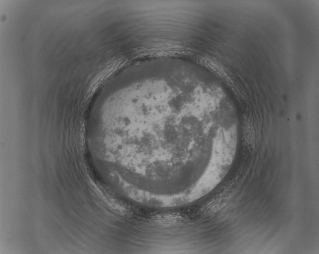 X0000068840586200605261642