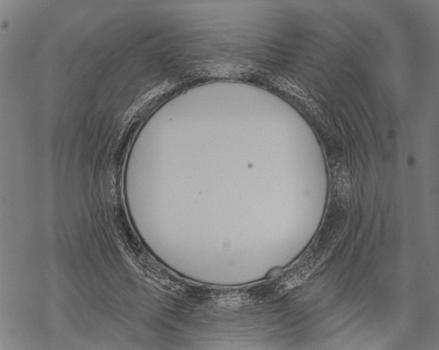 X0000068840587200605261642