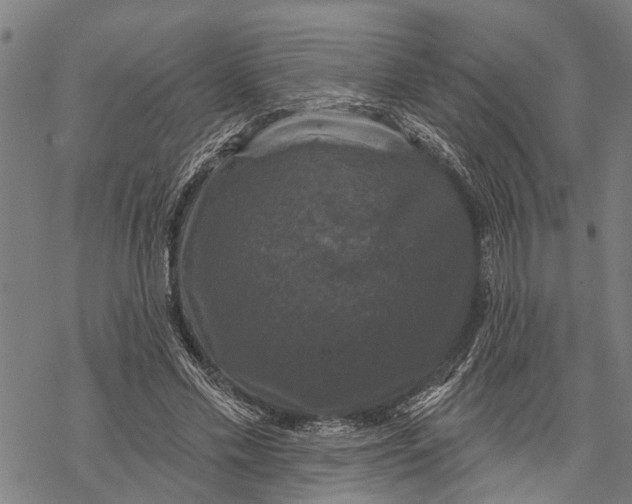 X0000068840589200605261642