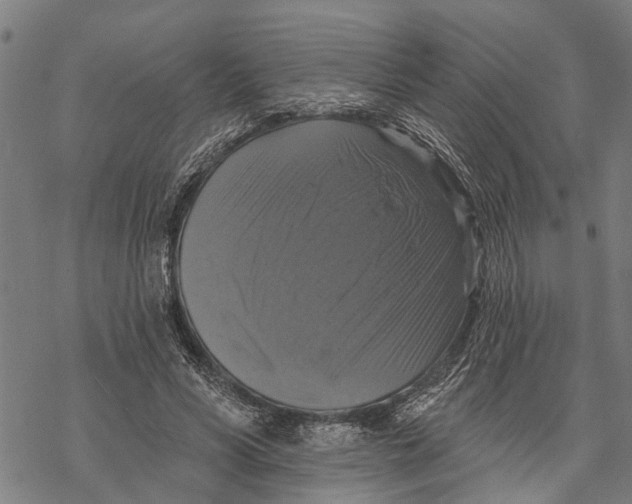 X0000068840590200605261642