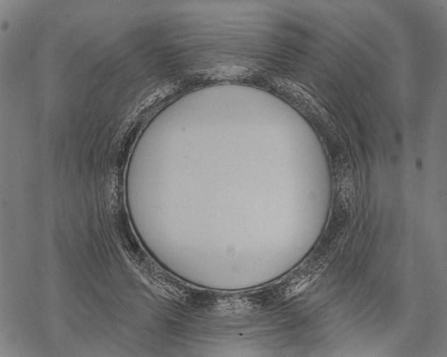 X0000068840591200605261642