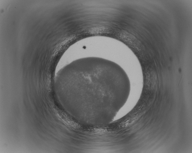 X0000068840592200605261642