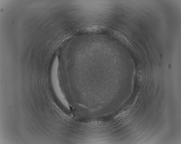 X0000068840593200605261642