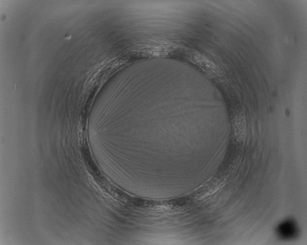 X0000068840594200605261642