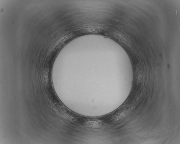 X0000068840595200605261642