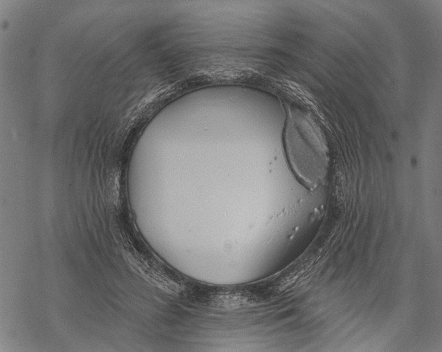 X0000068840596200605261642