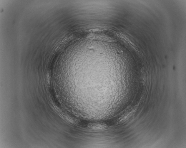 X0000068840597200605261642