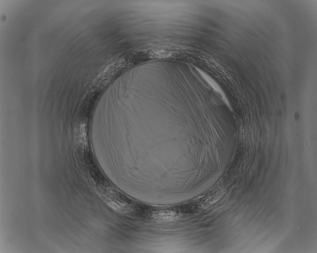 X0000068840598200605261642