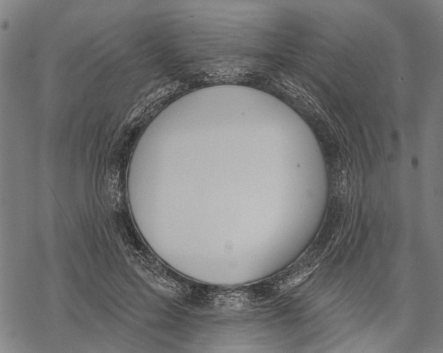 X0000068840599200605261642