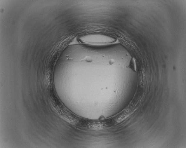 X0000068840600200605261642