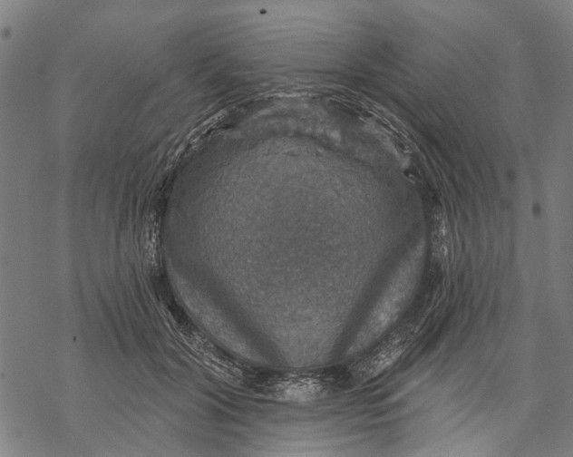 X0000068840604200605261642