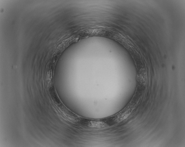 X0000068840605200605261642