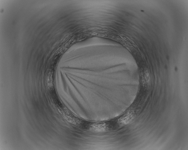 X0000068840606200605261642