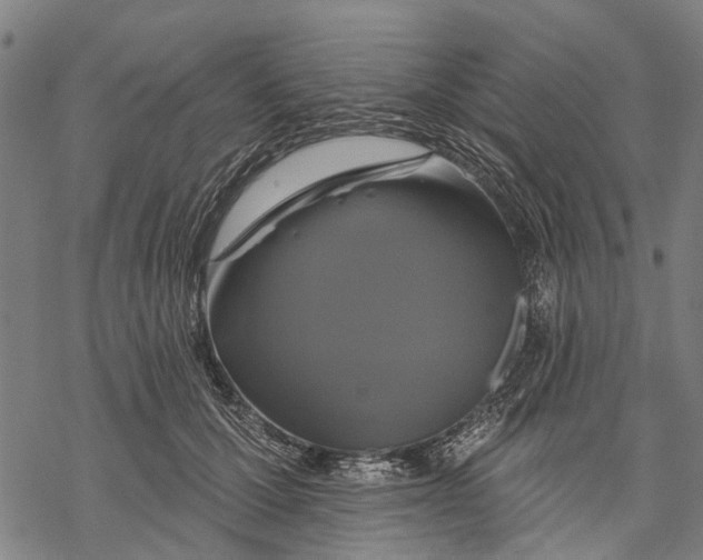 X0000068840607200605261642