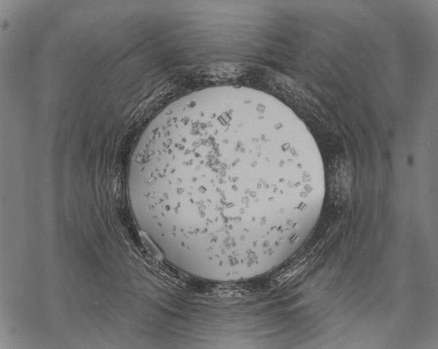 X0000068840608200605261642