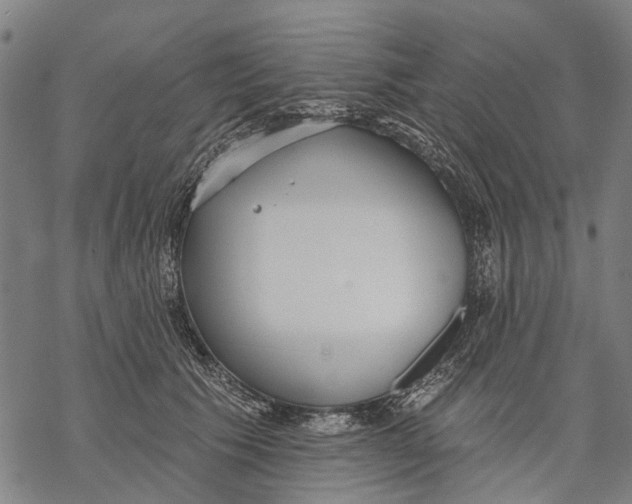 X0000068840609200605261642