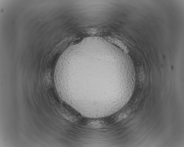 X0000068840611200605261642