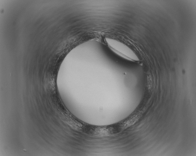 X0000068840613200605261642