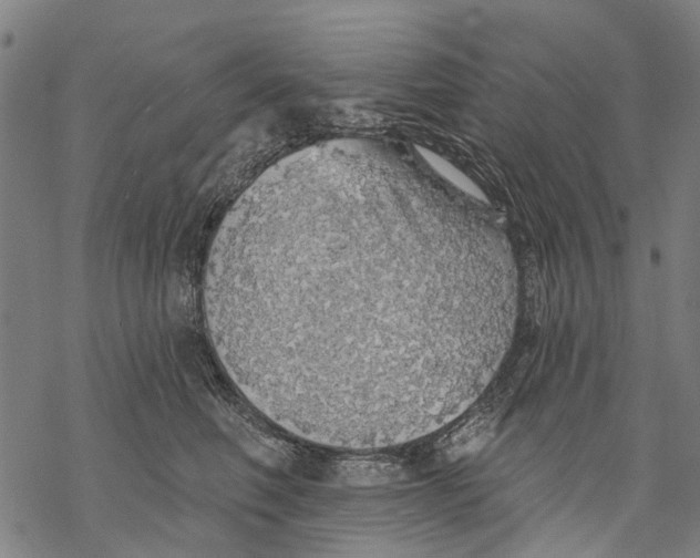 X0000068840614200605261642