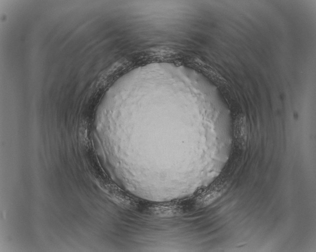 X0000068840615200605261642