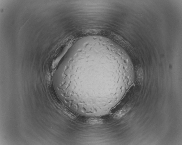 X0000068840617200605261642