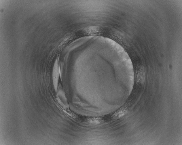 X0000068840618200605261642